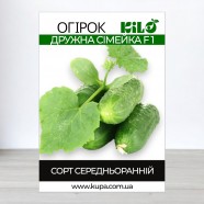 Насіння огірка Дружна Сімейка F1, самозапильних, 100г